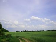 Дідівці з panoramio.com