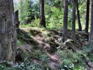 Тухля з panoramio.com