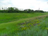 Пищевик - Останні фото