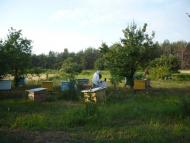 Прохорів з panoramio.com