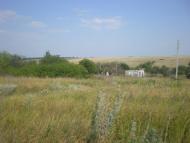 Липове з panoramio.com