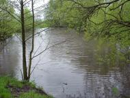 Краснопіль з panoramio.com