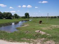 Хорів з panoramio.com