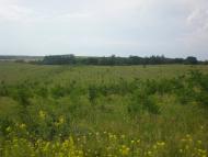 Попасне з panoramio.com