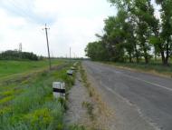 Пищевик - Останні фото