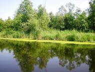 Шамраївка з panoramio.com