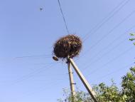 Малі Будища з panoramio.com