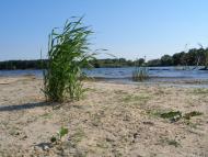 Лозівок з panoramio.com