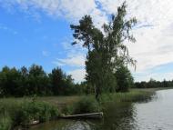 Підріччя з panoramio.com