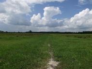 Поворськ з panoramio.com