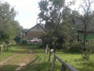 Нова Мощаниця з panoramio.com