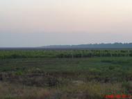 Підгірне з panoramio.com