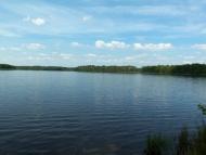 Віл - Останні фото