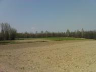 Нова Мощаниця з panoramio.com