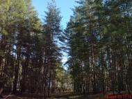 Піщане з panoramio.com