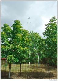 Виноградное - Последние фото