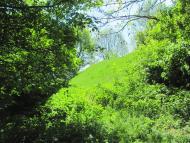 Сокіл з panoramio.com