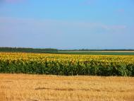 Миролюбівка з panoramio.com