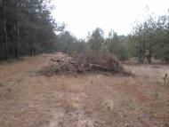 Жиричі з panoramio.com