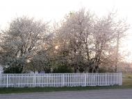 Макіївка з panoramio.com