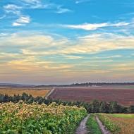 Верхняківці з panoramio.com