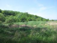 Каштанове з panoramio.com