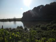 Товстеньке з panoramio.com