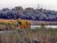 Їжицьке з panoramio.com