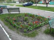 Родакове з panoramio.com