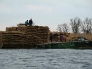 Маяки з panoramio.com