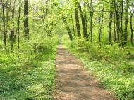 Рудки з panoramio.com