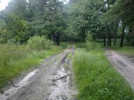 Михля з panoramio.com