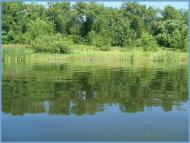 Бузьке з panoramio.com