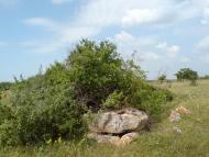 Барабанове з panoramio.com