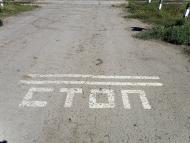 Орлівське з panoramio.com