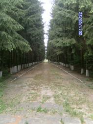 Полошки з panoramio.com
