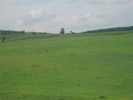 Вигівка з panoramio.com