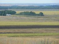 Орлинське з panoramio.com