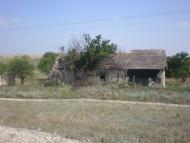 Липове з panoramio.com
