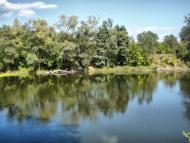 Синичине з panoramio.com