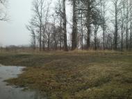 Губичі з panoramio.com