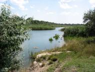 Широчани з panoramio.com