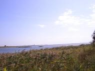 Біленьке з panoramio.com