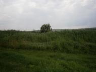 Зеленівка з panoramio.com