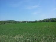 Каштанове з panoramio.com