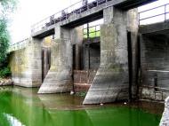 Вороне з panoramio.com