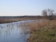 Любовичі з panoramio.com