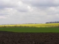 Кубряки - Останні фото