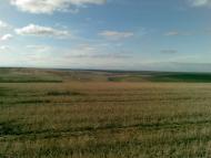 Фуратівка з panoramio.com