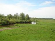 Журавка з panoramio.com